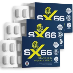 SX66